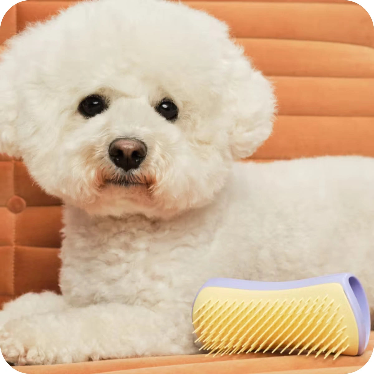 Pet Teezer Small Dog Detangling Grooming Brush - Lilac