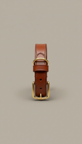 Chestnut Leather Dog Collar