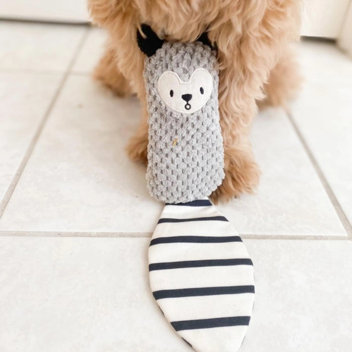 Boots & Barkley Small Squirrel Plush Crinkle Dog Toy