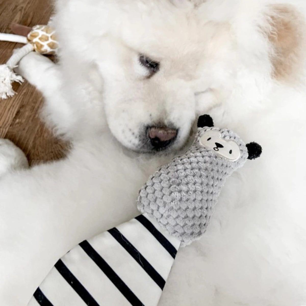 Boots & Barkley Small Squirrel Plush Crinkle Dog Toy