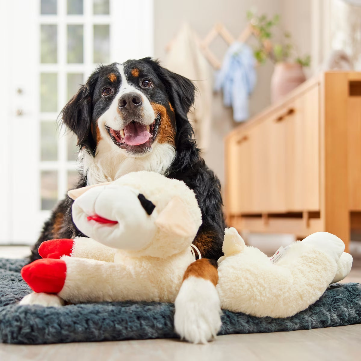 Multipet Lamb Chop Jumbo Squeaky Plush Dog Toy